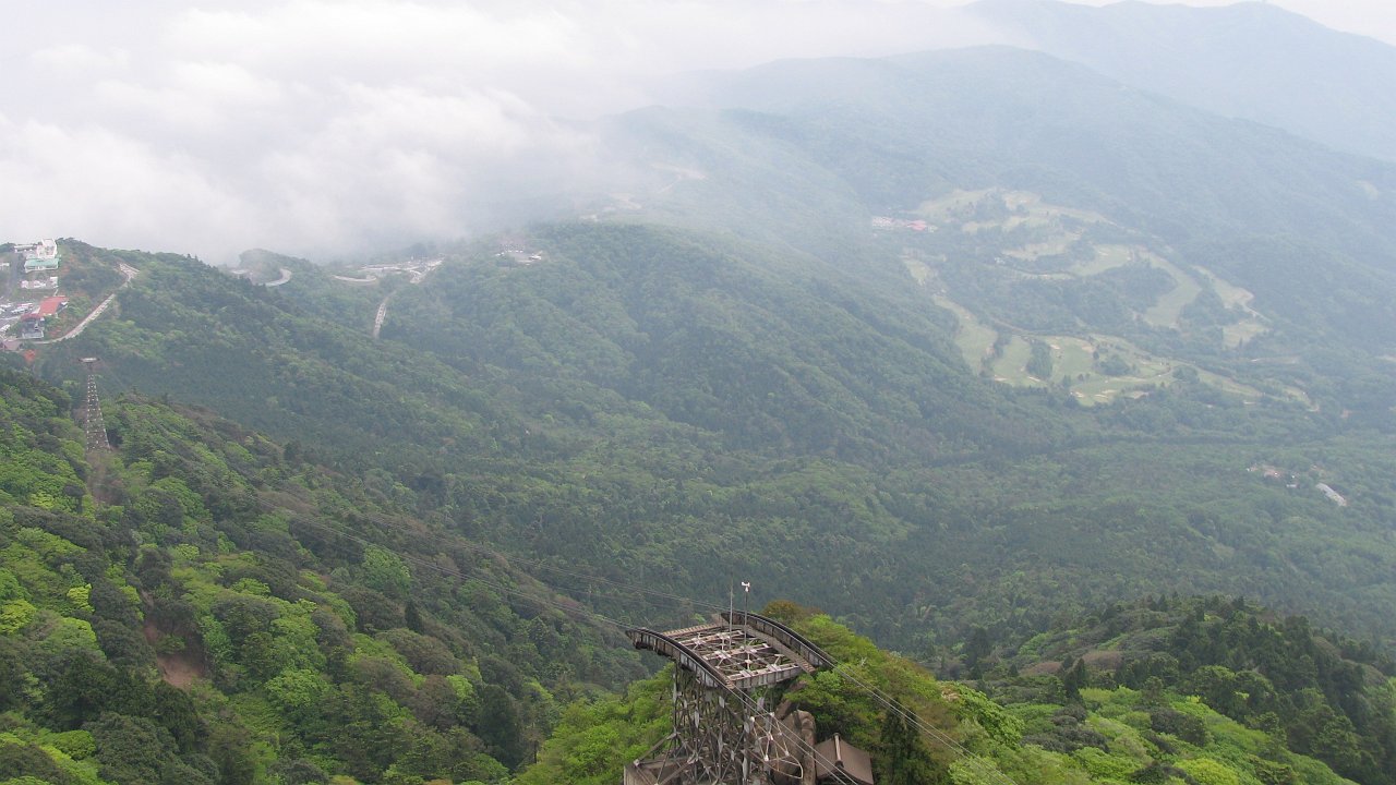 green tsukuba.jpg